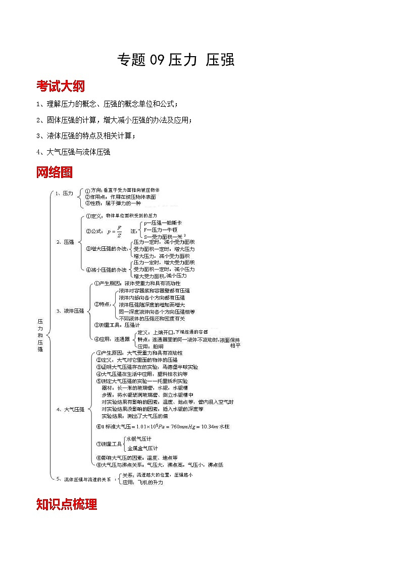 考点09 压力 压强 备战中考物理一轮复习知识点+练习（含答案解析）01