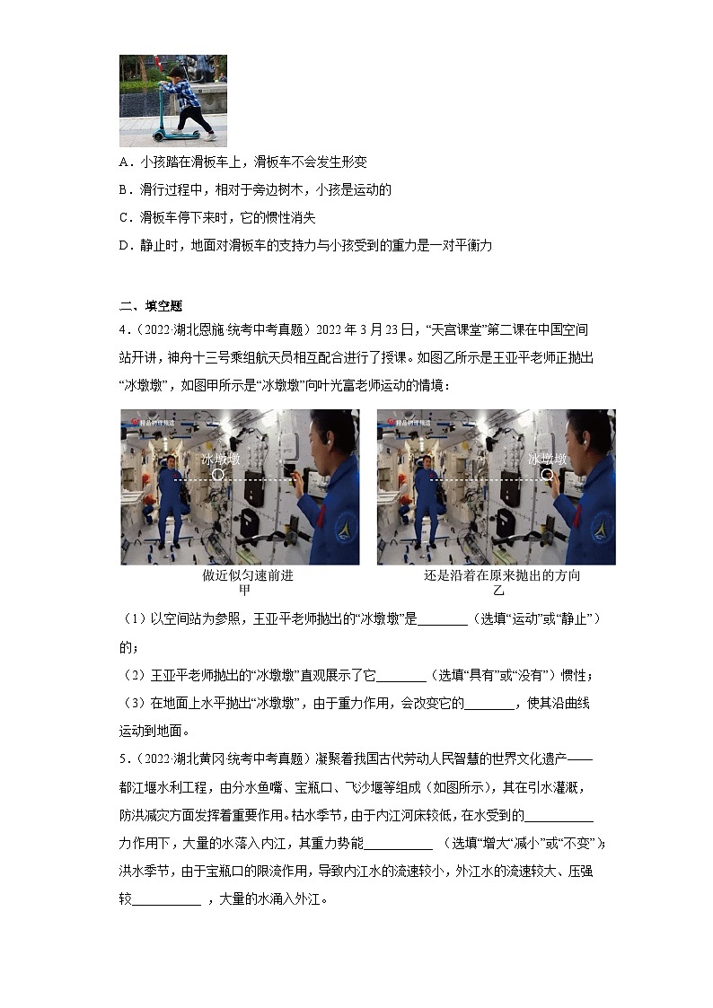 湖北省各地市2022年中考物理真题分项汇编-03力的概念与性质、弹力、重力02