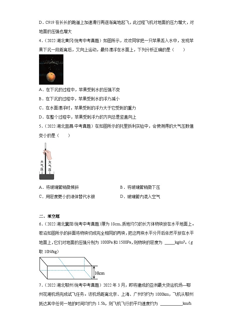 湖北省各地市2022年中考物理真题分项汇编-06压强02