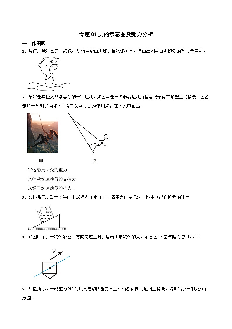 2023年中考物理二轮复习专题训练01 力的示意图及受力分析第1页