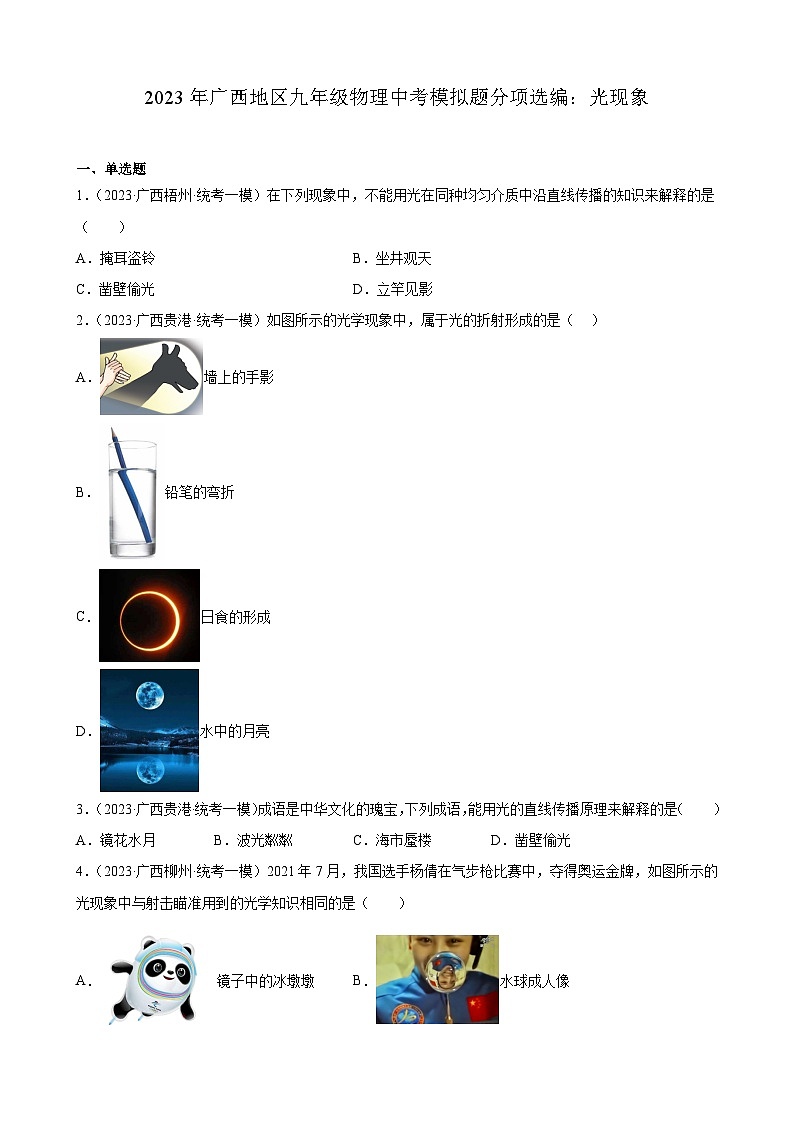 2023年广西地区九年级物理中考模拟题分项选编：光现象第1页