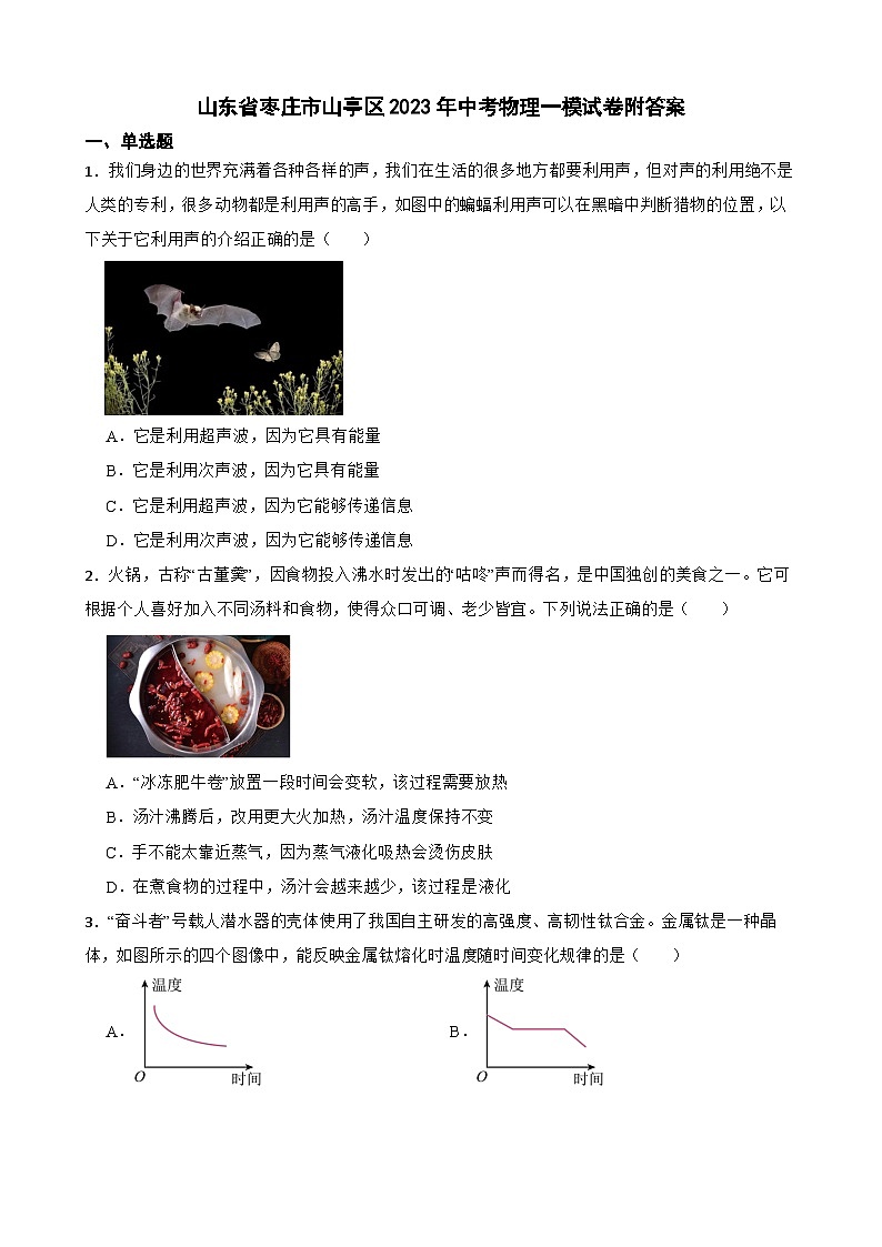 山东省枣庄市山亭区2023年中考物理一模试卷附答案第1页