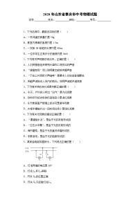 山东省泰安市2020年中考物理试题