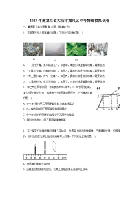 2023年黑龙江省大庆市龙凤区中考物理模拟试卷（含解析）