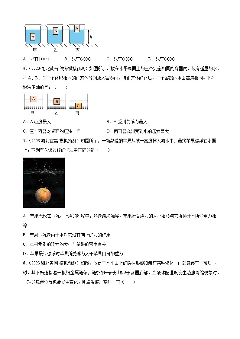 2023年湖北省九年级物理中考模拟题分类选编：浮力第2页