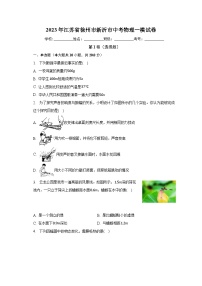 2023年江苏省徐州市新沂市中考物理一模试卷（含解析）