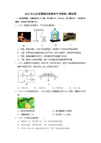 2023年山东省聊城市临清市中考物理三模试卷