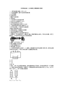 2023年吉林省延边州九年级下学期第五次模拟测试物理试题