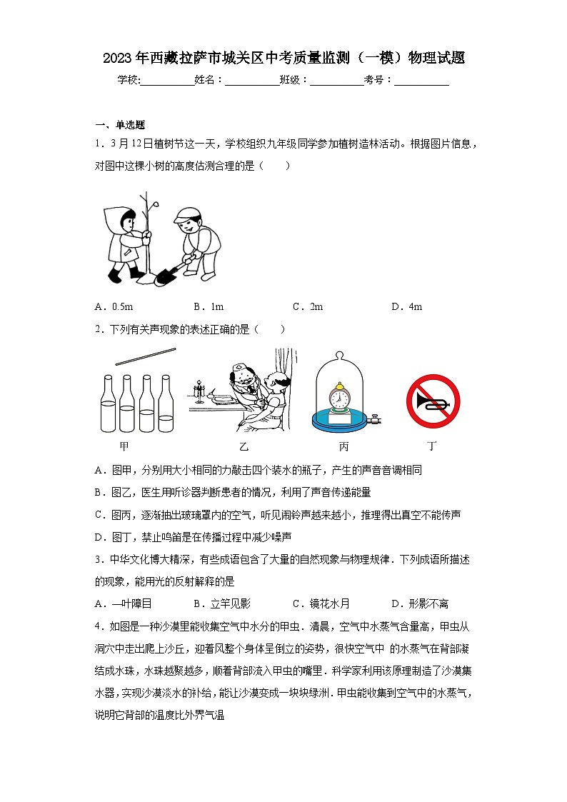 2023年西藏拉萨市城关区中考质量监测（一模）物理试题（含解析）01