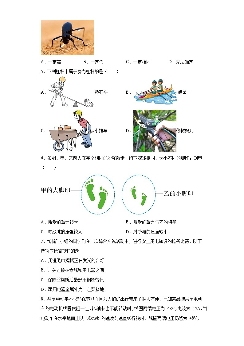 2023年西藏拉萨市城关区中考质量监测（一模）物理试题（含解析）02