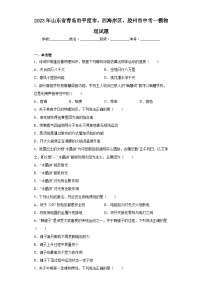 2023年山东省青岛市平度市、西海岸区、胶州市中考一模物理试题（含解析）