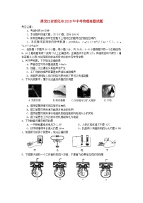 黑龙江省绥化市2019年中考物理真题试题