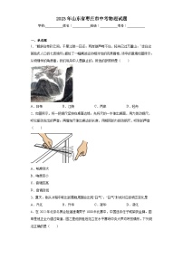 2023年山东省枣庄市中考物理试题（含解析）