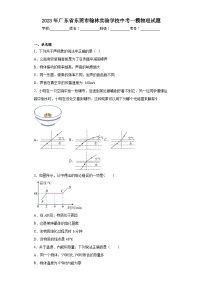 2023年广东省东莞市翰林实验学校中考一模物理试题（含解析）