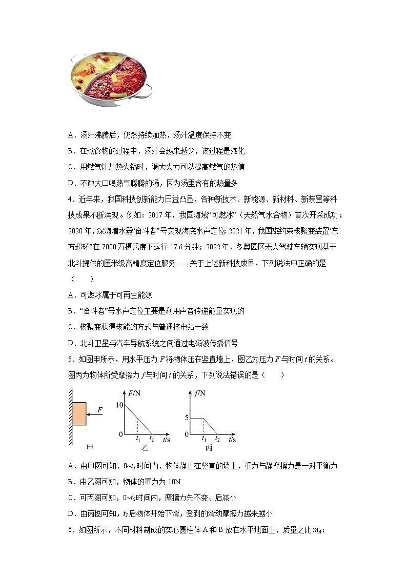 湖北省武汉市汉阳区2022-2023学年九年级下学期5调理综物理试题（含解析）第2页