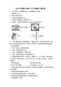 2023年内蒙古赤峰十中中考物理三模试卷