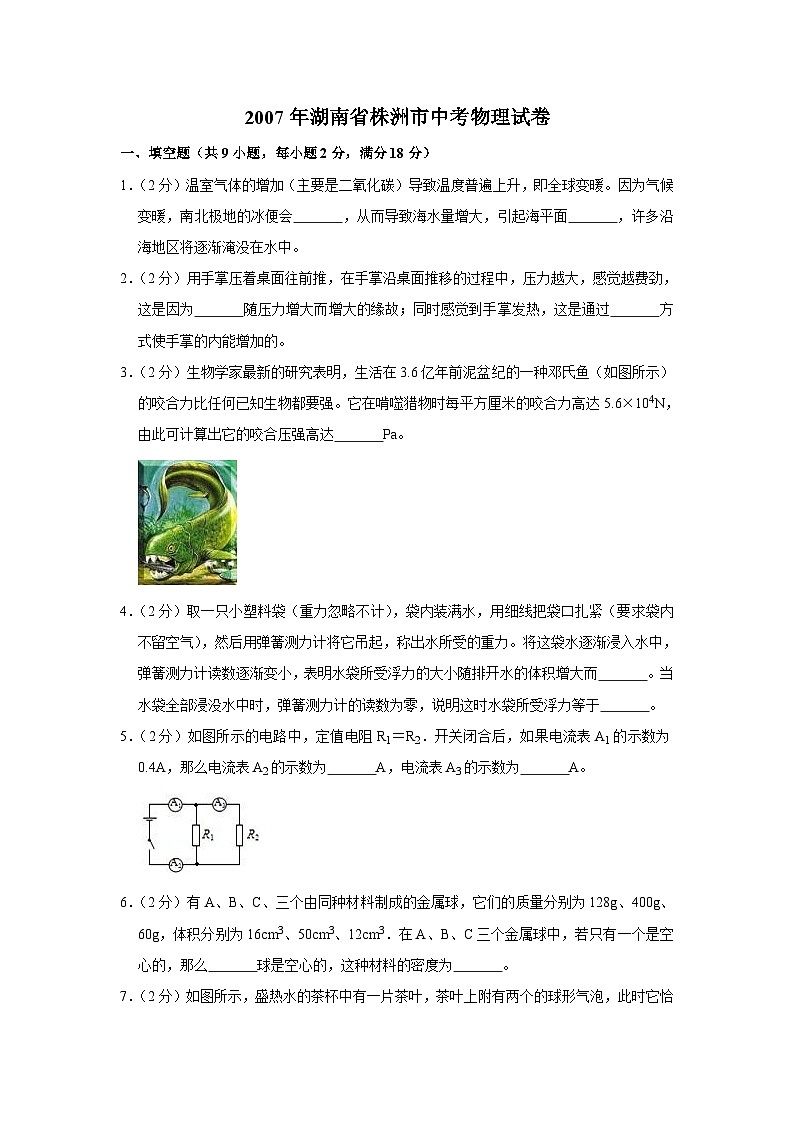 2007年湖南省株洲市中考物理试卷（学生版）01