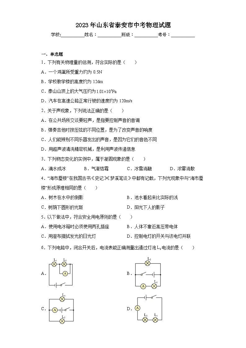 2023年山东省泰安市中考物理试题（含答案）01