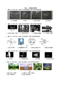 重庆2013-2022十年中考物理分类汇编选择题专题2 光现象