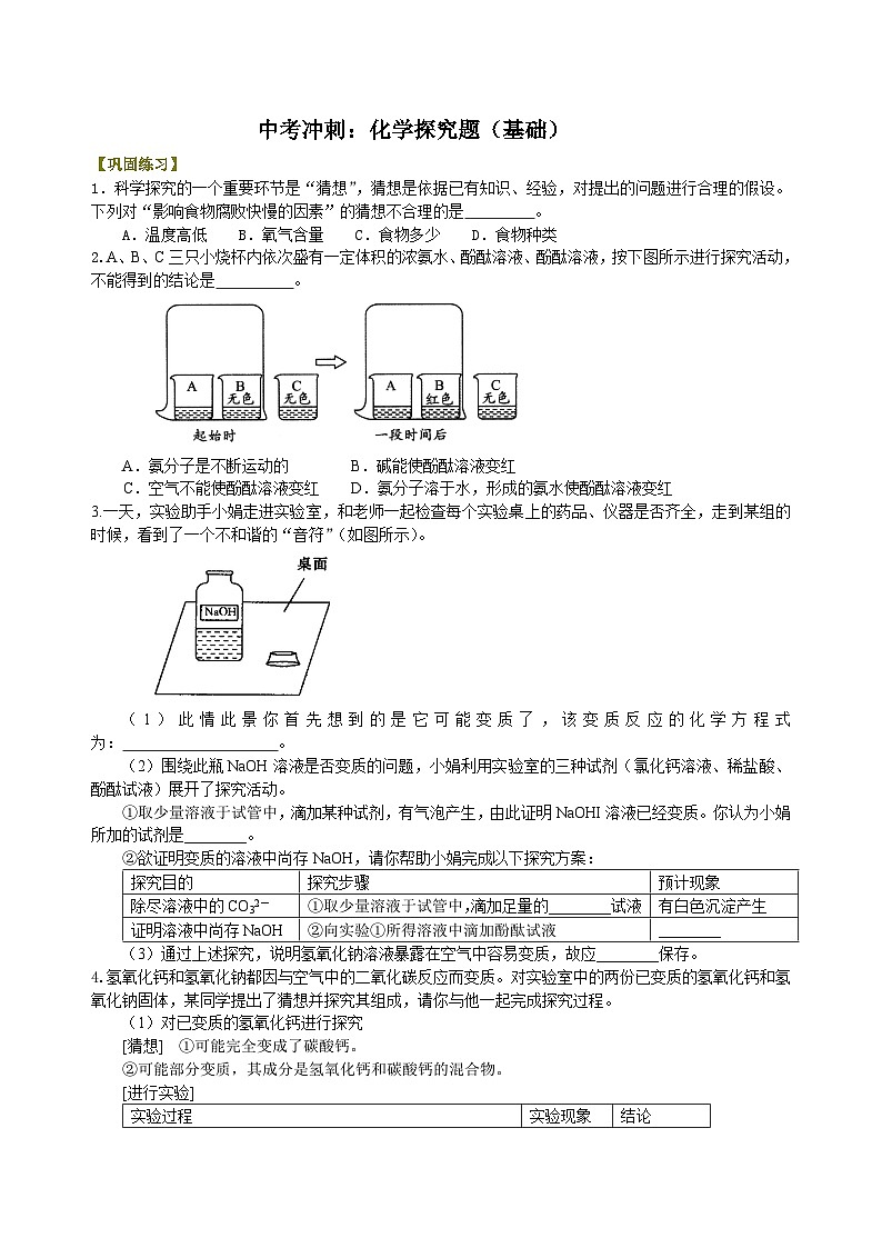 中考冲刺：化学探究题（基础） 巩固练习第1页