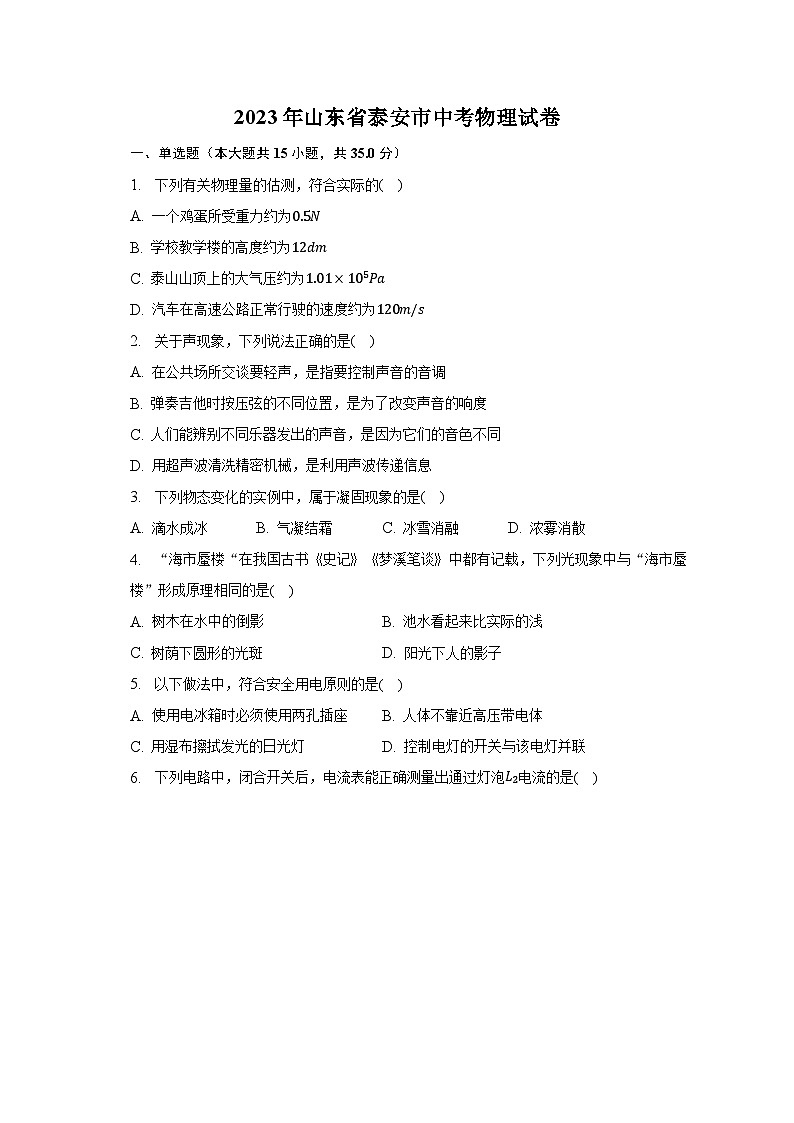 2023年山东省泰安市中考物理试卷（含解析）01