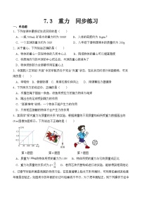 初中物理人教版八年级下册7.3 重力同步训练题