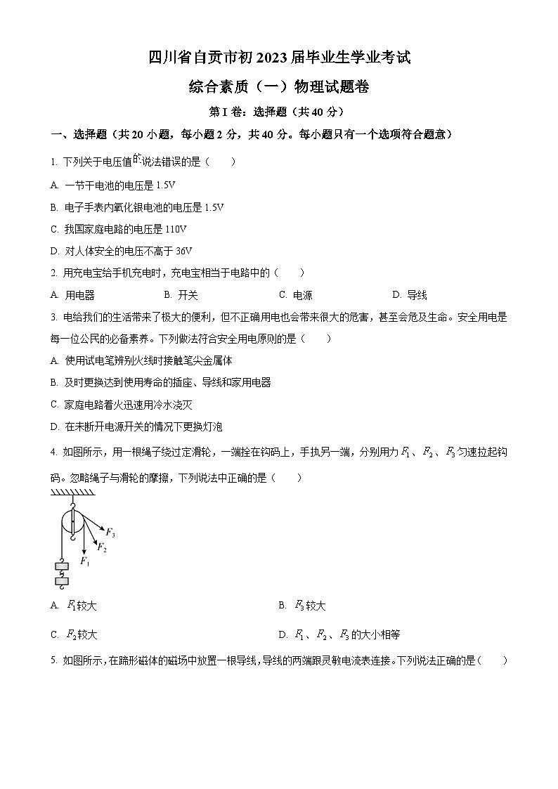2023年四川省自贡市中考物理试题（原卷版）01