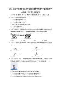 2021-2022学年湖南省长沙市岳麓区湖南师大附中广益实验中学八年级（下）期中物理试卷