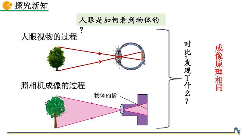 初中物理人教版八年级上册教学课件 第五章 透镜及其应用 第4节 眼睛和眼镜第6页