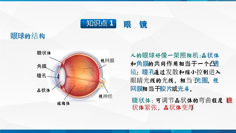 第5.4 眼睛和眼镜（备好课）-八年级物理上册同步精品课堂（人教版）课件PPT04