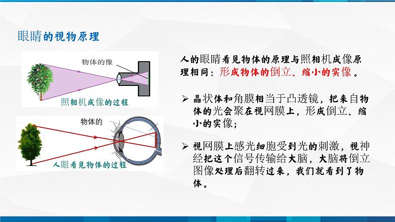 第5.4 眼睛和眼镜（备好课）-八年级物理上册同步精品课堂（人教版）课件PPT05