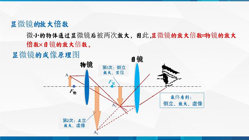 第5.5显微镜与望远镜（备好课）-八年级物理上册同步精品课堂（人教版）课件PPT05