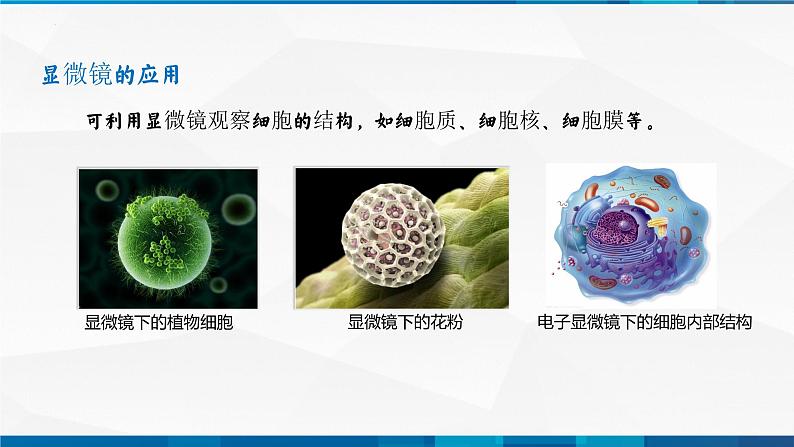 第5.5显微镜与望远镜（备好课）-八年级物理上册同步精品课堂（人教版）课件PPT06