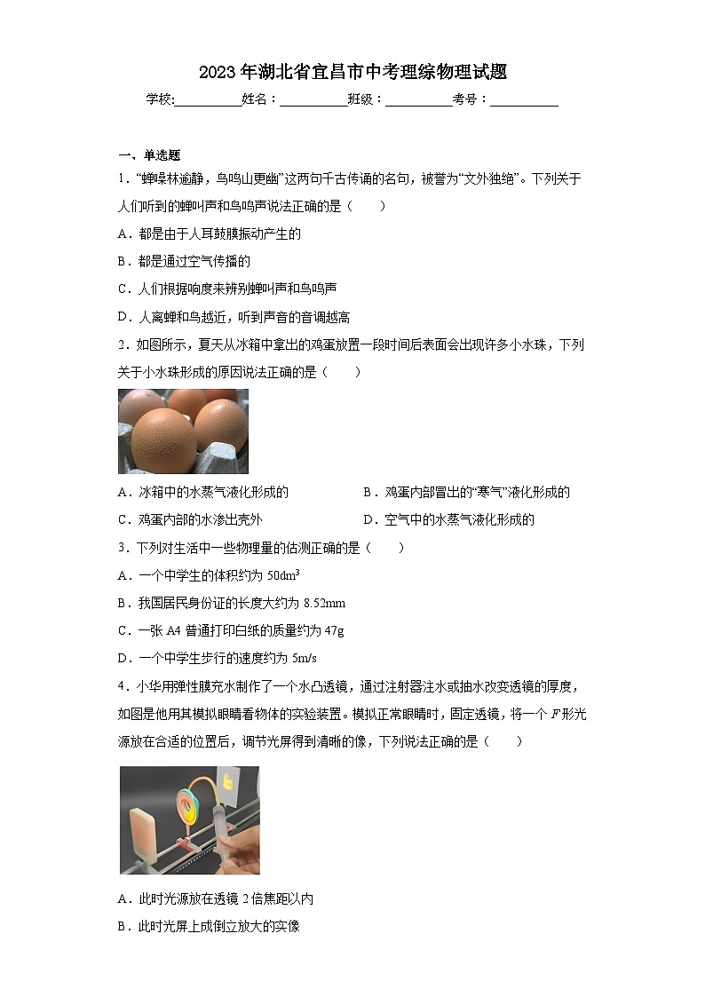 2023年湖北省宜昌市中考理综物理试题（原卷+解析）01