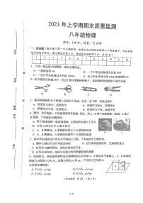 湖南省岳阳县2022-2023学年下学期八年级物理期末质量检测