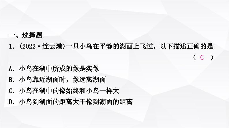 人教版中考物理复习第2讲光现象第2课时平面镜成像作业课件第2页