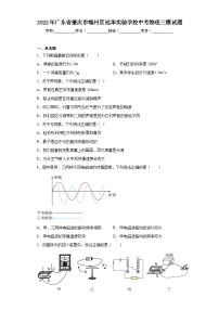 2022年广东省肇庆市端州区冠华实验学校中考物理三模试题（含答案）