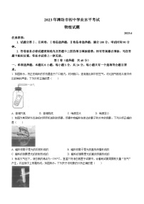 2023年山东省潍坊市中考物理真题