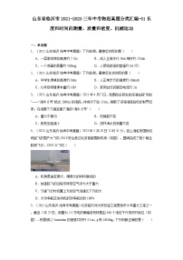 山东省临沂市2021-2023三年中考物理真题分类汇编-01长度和时间的测量、质量和密度、机械运动