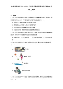 山东省烟台市2021-2023三年中考物理真题分类汇编-06光学、声学