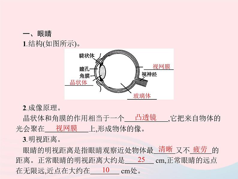 2022八年级物理上册第5章透镜及其应用第4节眼睛和眼镜课件新版新人教版02