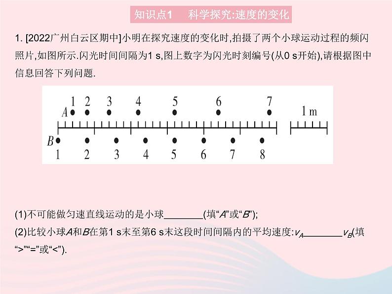 2023八年级物理上册第二章运动的世界第四节科学探究速度的变化作业课件新版沪科版03