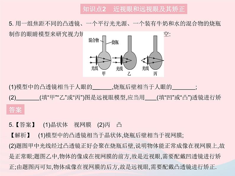 2023八年级物理上册第四章光现象第六节神奇的眼睛课时1眼睛及视力的矫正作业课件新版沪科版07