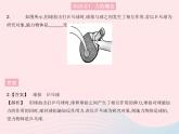 2023八年级物理上册第六章质量和密度第一节力作业课件新版沪科版
