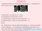 2023八年级物理上册第五章透镜及其应用专项常见光学仪器的成像原理及调节作业课件新版新人教版