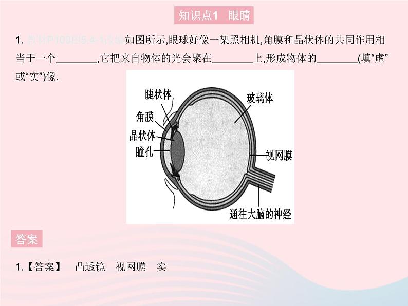 2023八年级物理上册第五章透镜及其应用第4节眼睛和眼镜作业课件新版新人教版第3页