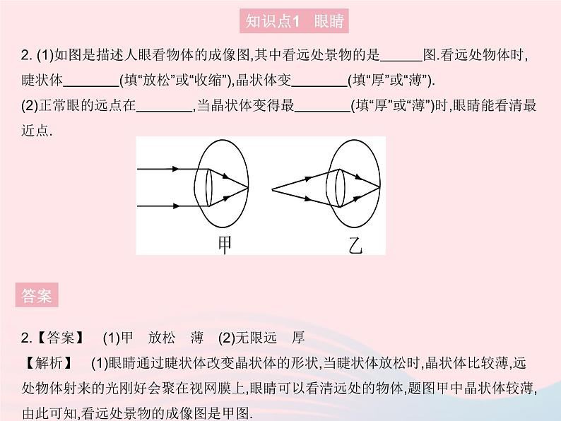 2023八年级物理上册第五章透镜及其应用第4节眼睛和眼镜作业课件新版新人教版第4页