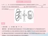 2023八年级物理上册第六章质量和密度第3节测量物质的密度作业课件新版新人教版