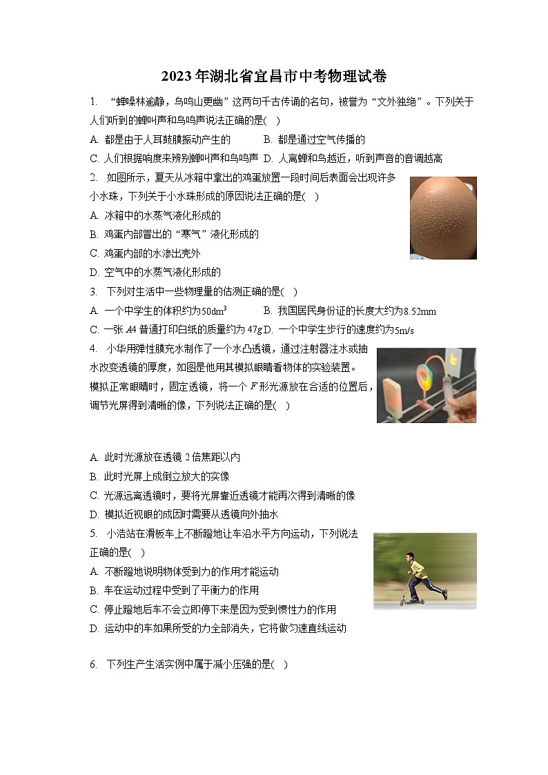 2023年湖北省宜昌市中考物理试卷（含答案解析）01