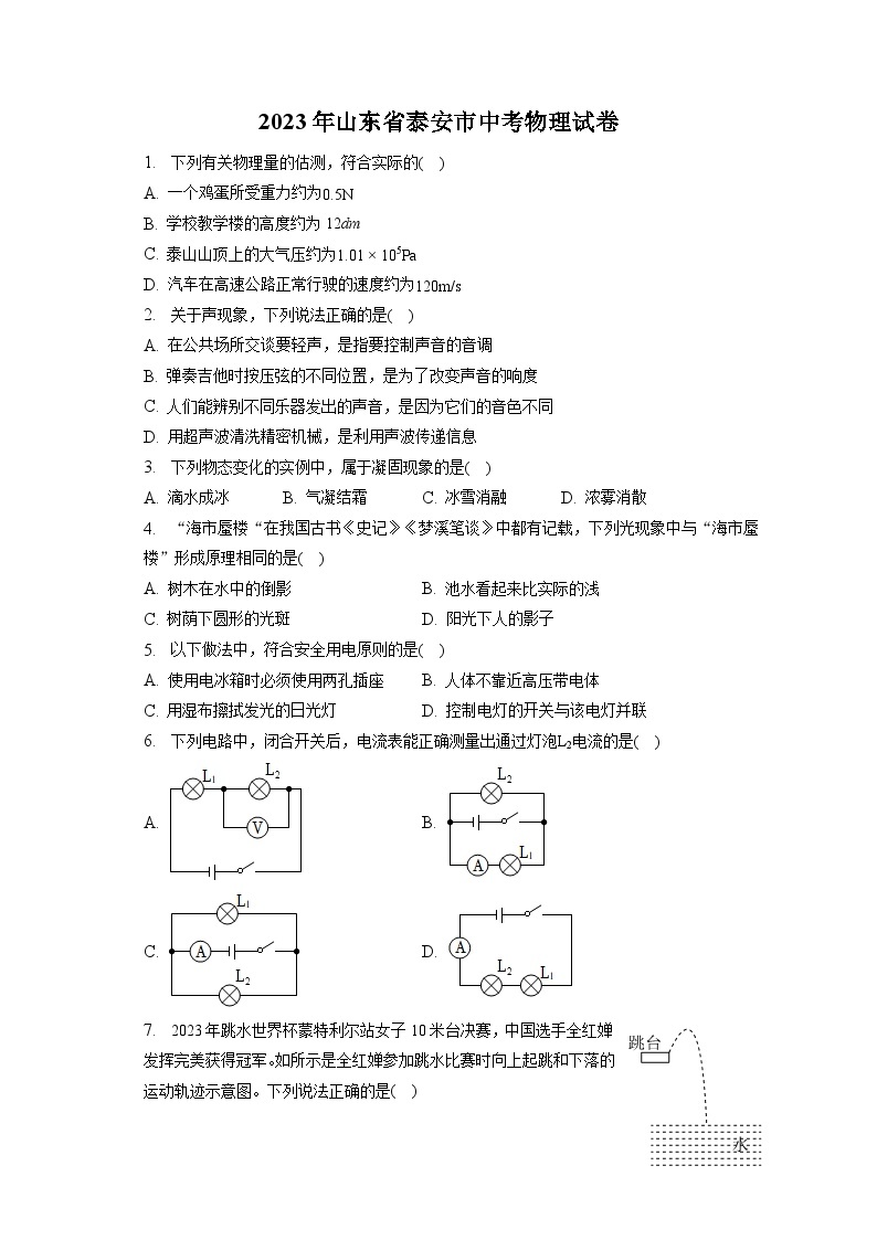 2023年山东省泰安市中考物理试卷（含答案解析）01